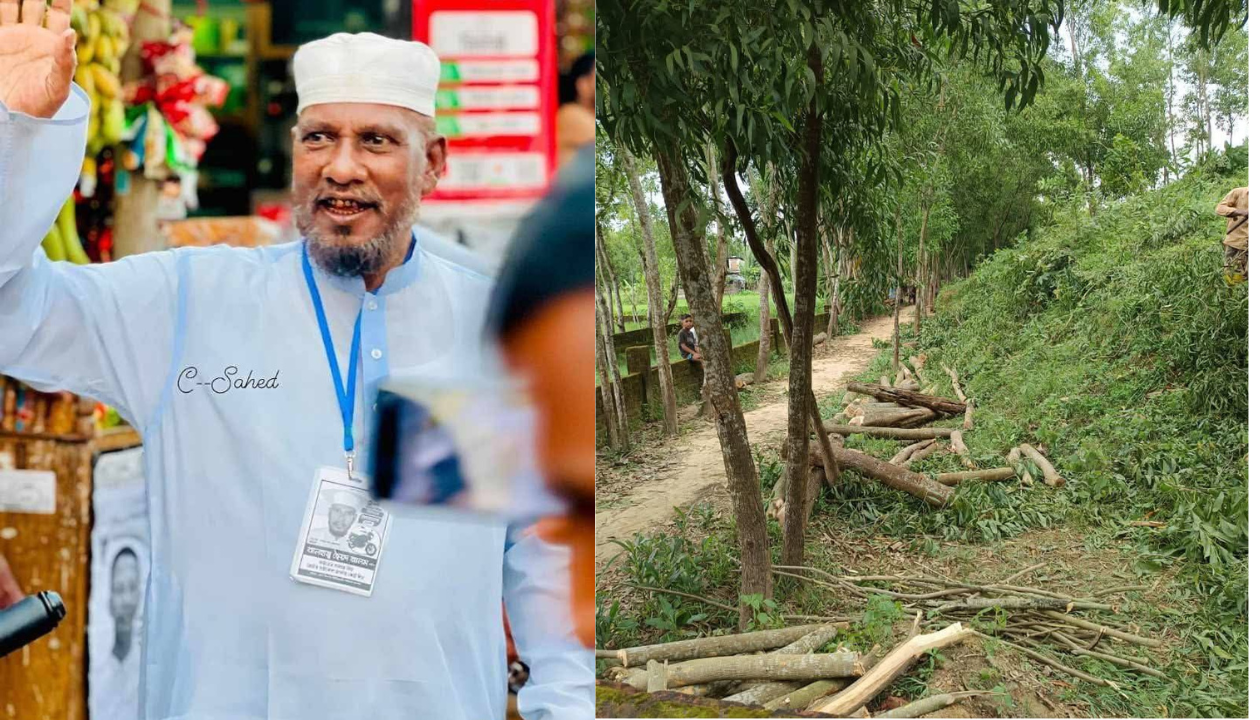 নিষেধাজ্ঞা ভেঙে গাছ কাটার অভিযোগ আওয়ামী লীগ নেতার বিরুদ্ধে